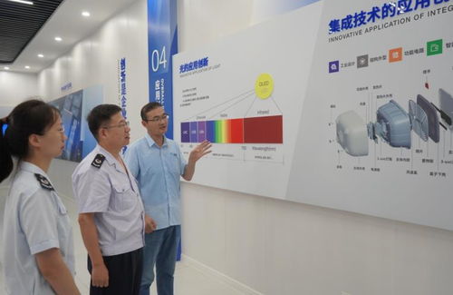 7777788888新奥精准新传真与77777888888精准新传小说二勇公:蛇、狗、龙、羊,洞察虚假的本质-系统分析、专家解读解释与落实 7777788888新奥精准新传真与77777888888精准新传小说二勇公:蛇、狗、龙、羊,洞察虚假的本质-系统分析、专家解读解释与落实