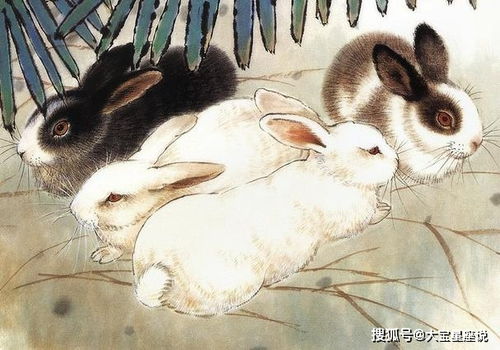 芳草地资料大全免费和澳门必中平特肖下一期预测:鸡、蛇、兔、羊典型释义、解释与落实-小心虚假鼓吹