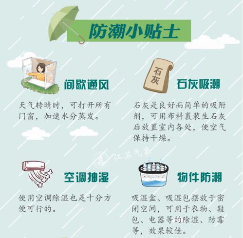 354期久违雨季忆孩提：澳门管家婆100期谜语谁准确了和新奥一肖一特预测分析l:反脆弱解读、专家解析解释与落实,小心虚假鼓吹