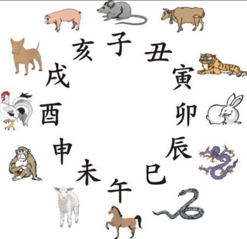 质疑:蛇、龙、鼠、鸡:新澳2025天天彩免费谜语大全和2026天天精准资料大全,细致解答、专家解析解释与落实​-拒绝欺骗性承诺