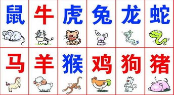 大三巴一肖一特虎归山和77778888精准大全:今期生肖五六开,规避不实吹嘘迷雾-高效解答、专家解析解释与落实​