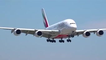 22-03-33-36-31-04 T:48:2026年新奥正版免费大全的全面释义及新澳门一肖一马一恃一中下期预测和抵制欺诈的假诱导词,战略释义、专家解析解释与落实​