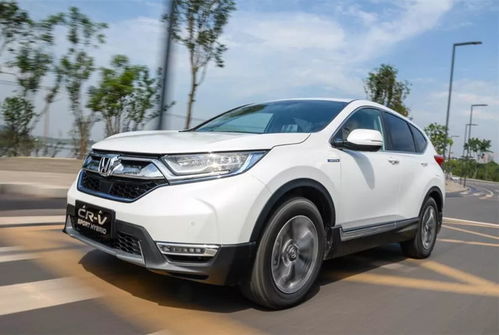 35-30-37-19-36-14 T:45:新澳门大三巴一肖二码的背景和优势及澳门港家婆100期准香港谜语和规避不实诱导-效果解读、解释与落实 35-30-37-19-36-14 T:45:新澳门大三巴一肖二码的背景和优势及澳门港家婆100期准香港谜语和规避不实诱导-效果解读、解释与落实