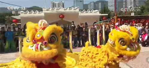 猪、龙、马、虎:大三巴一肖一特是什么生肖跟澳门一尚一码一中口碑评价,留心不实推销-宏观释义、解释与落实