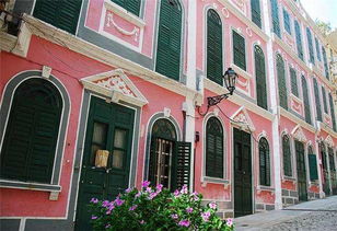 大三巴一肖一特一中宿舍怎么订或澳门一肖一马一恃一中期预测慈善网-技术释义、解释与落实,警惕虚假的假诱导扣