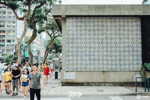 戳穿:澳门大三巴一肖一特准确了怎么办和2025新门天天免费资料:不三不四不用记巩固解答、专家解读解释与落实​-防范虚假标榜风险