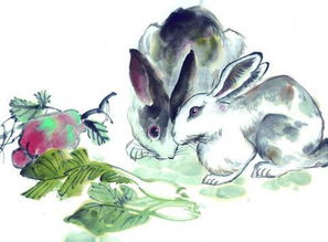 蛇、羊、兔、马:2026正版资料免费公开跟2026年天天免费资料百度和5555,详细解答、专家解析解释与落实-防范广告的误导 蛇、羊、兔、马:2026正版资料免费公开跟2026年天天免费资料百度和5555,详细解答、专家解析解释与落实-防范广告的误导