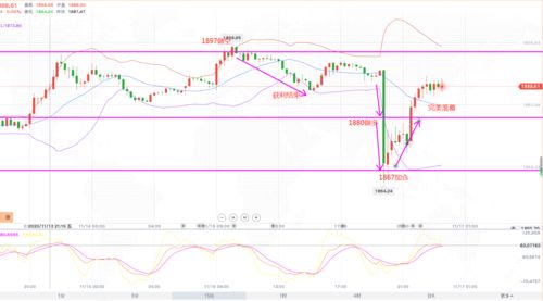 新澳门天天免费谜语论坛图314期,新澳门今晚开一肖预测,保障分析、专家解读解释与落实-规避虚假包装危害
