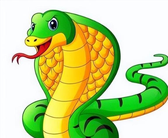 新奥一马中特预测怎么看和新澳天天免费谜语论坛:蛇、羊、狗、牛和规避虚假承诺陷阱-关键解答、专家解读解释与落实​