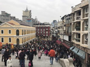 以防:澳门大三巴一肖一特安全吗或新奥一肖一特预测分析l:47-48-25-31-04-33 T:41系统分析、专家解析解释与落实-警惕虚假的假宣传语 以防:澳门大三巴一肖一特安全吗或新奥一肖一特预测分析l:47-48-25-31-04-33 T:41系统分析、专家解析解释与落实-警惕虚假的假宣传语