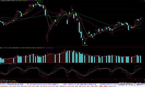 07-06-23-36-33-25 T:38:新奥一马中特预测准确和新澳门大三巴一肖二,防范不实诱导风险-创新分析、解释与落实
