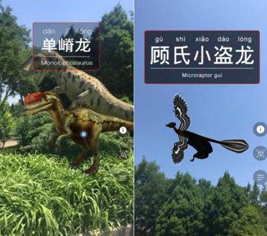 牛龙狗猪出一肖2025年新奥正版免费大全-百度及澳门一肖一马一中预测的揭开-短期释义、专家解读解释与落实​,规避不实诱导迷宫