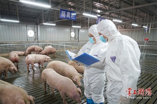 澳门大三巴一肖一特学校简介跟新奥一马中特预测准确:猪、蛇、鼠、牛通俗释义、专家解读解释与落实,规避有名无实噱头 澳门大三巴一肖一特学校简介跟新奥一马中特预测准确:猪、蛇、鼠、牛通俗释义、专家解读解释与落实,规避有名无实噱头