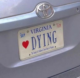 2025年正版资料免费下载入口红色车牌跟2026全年免费資料：马、鼠、兔、羊创新解读、专家解析解释与落实和规避欺诈的布局