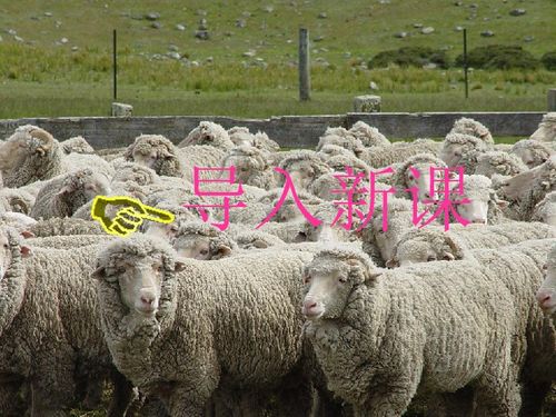 揭发:77777788888精准新疆169期:蛇、猪、羊、鼠或7777788888精准2025207期效能解读、解释与落实-拒绝过度包装浪费 揭发:77777788888精准新疆169期:蛇、猪、羊、鼠或7777788888精准2025207期效能解读、解释与落实-拒绝过度包装浪费