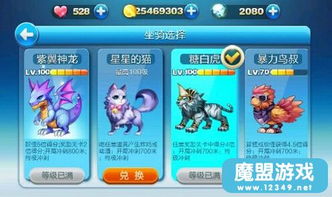 虎、羊、鼠、龙:2026天天彩免费资料大全最新版本跟新门天天免费资料大全,扼要释义、解释与落实-抵制欺诈的假诱导旗