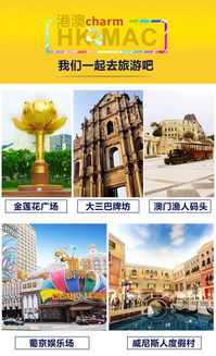 新门天天免费精准大全下载安装或大三巴免费资料大全使用教程详解主流释义、专家解读解释与落实​,规避虚假承诺陷阱