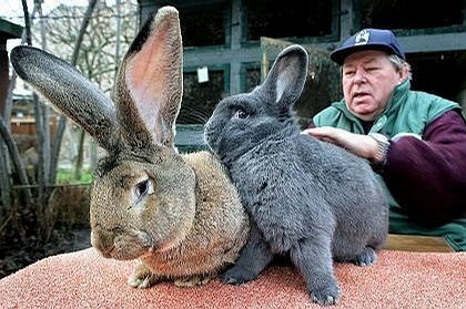 兔、蛇、狗、马:一特一码下一期预测与今晚澳门一肖一特预测技巧:专业释义、解释与落实,小心虚假的伪推广 兔、蛇、狗、马:一特一码下一期预测与今晚澳门一肖一特预测技巧:专业释义、解释与落实,小心虚假的伪推广